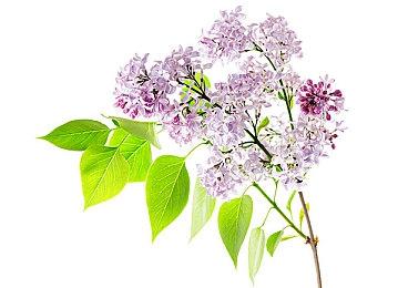 《冲突：混沌神器》公布全新预告 展示夜间游戏机制